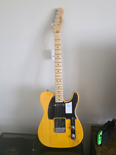 Fender standard telecaster - fender,